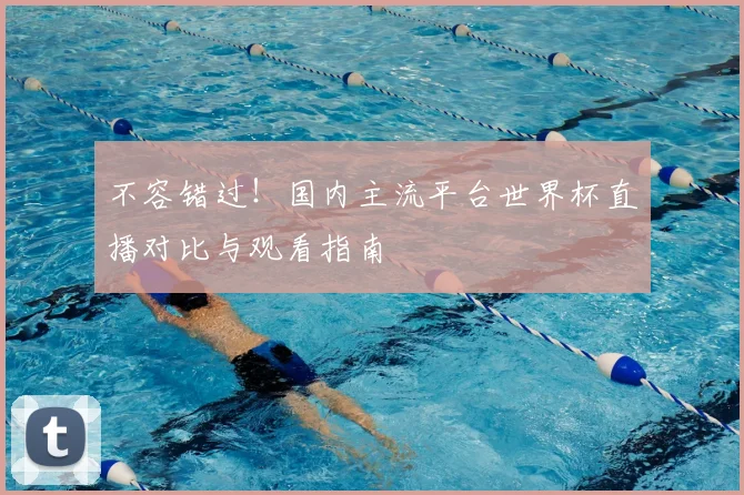 不容错过！国内主流平台世界杯直播对比与观看指南