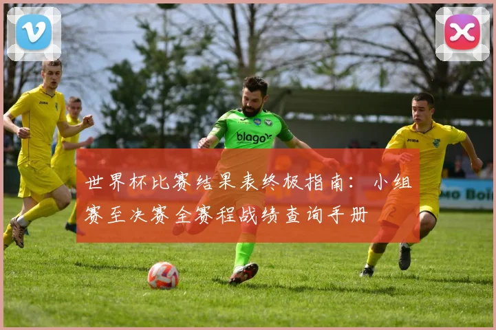 世界杯比赛结果表终极指南：小组赛至决赛全赛程战绩查询手册
