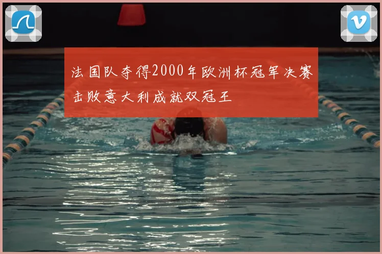 法国队夺得2000年欧洲杯冠军决赛击败意大利成就双冠王