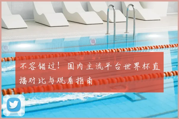 不容错过！国内主流平台世界杯直播对比与观看指南