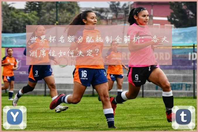 世界杯名额分配机制全解析：各大洲席位如何决定？