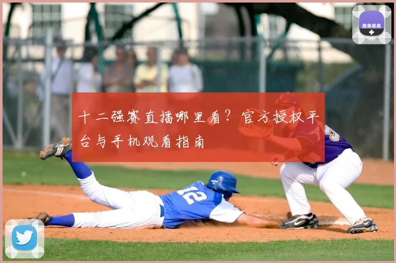 十二强赛直播哪里看？官方授权平台与手机观看指南
