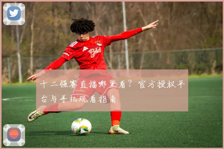 十二强赛直播哪里看？官方授权平台与手机观看指南