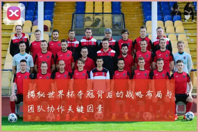 揭秘世界杯夺冠背后的战略布局与团队协作关键因素