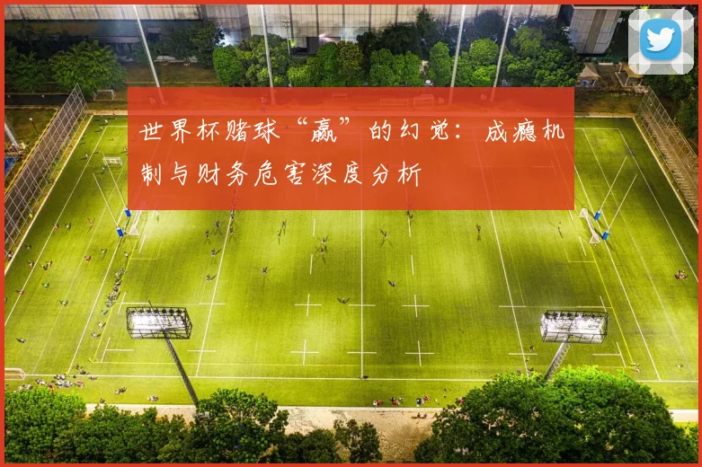 世界杯赌球“赢”的幻觉：成瘾机制与财务危害深度分析