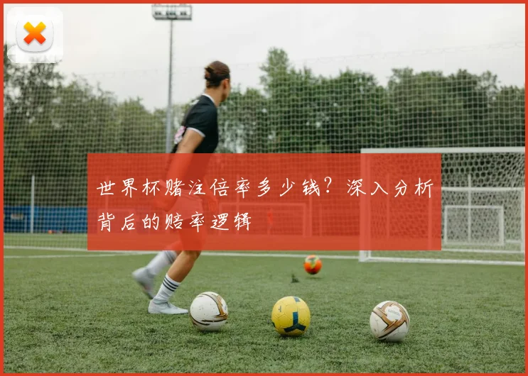 世界杯赌注倍率多少钱？深入分析背后的赔率逻辑