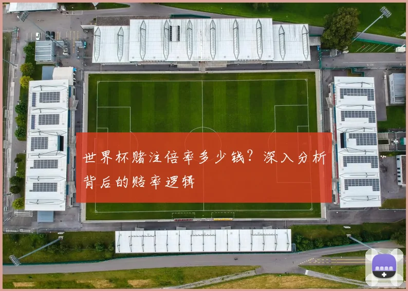 世界杯赌注倍率多少钱？深入分析背后的赔率逻辑