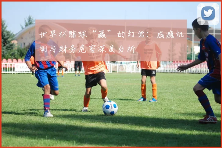 世界杯赌球“赢”的幻觉：成瘾机制与财务危害深度分析